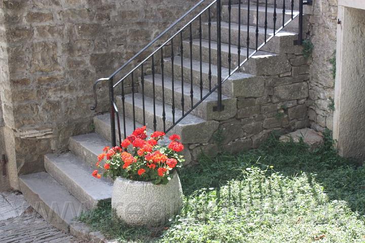 image011.jpg